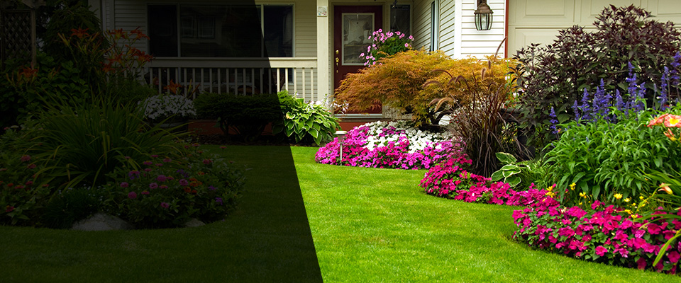 Largo Landscapers