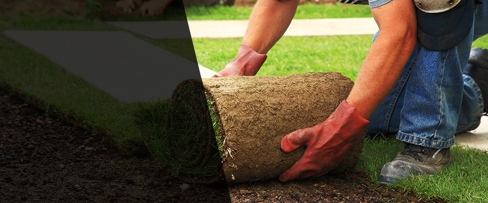 Largo Landscapers